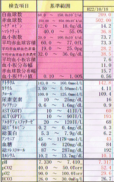 101018miki01.jpg