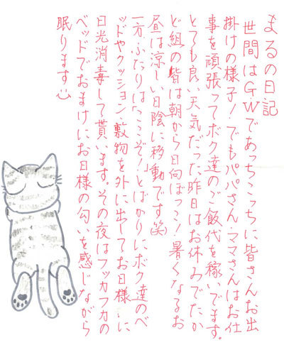 11051101.jpg