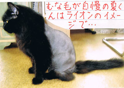 11090203.jpg