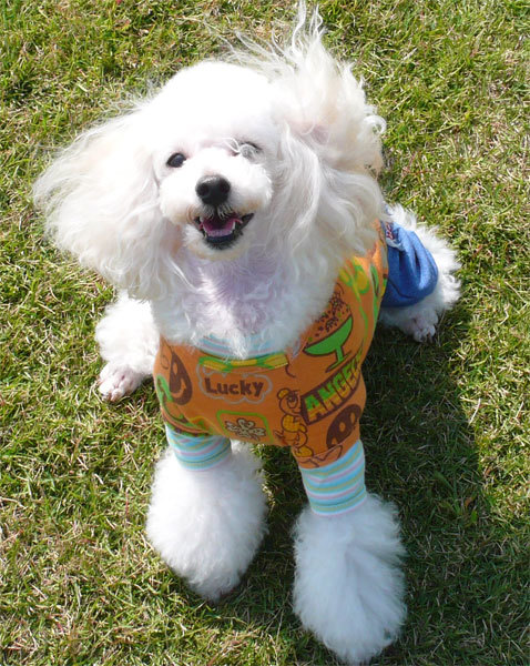 111009teddy02.jpg