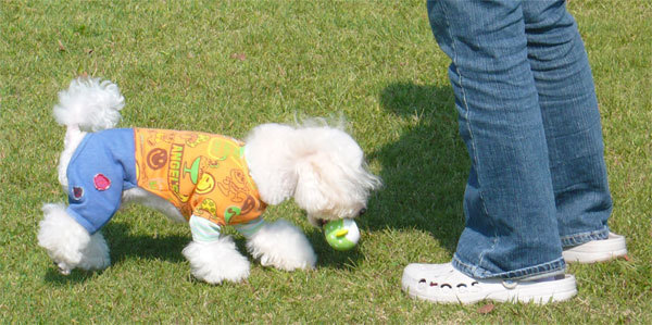111009teddy07.jpg