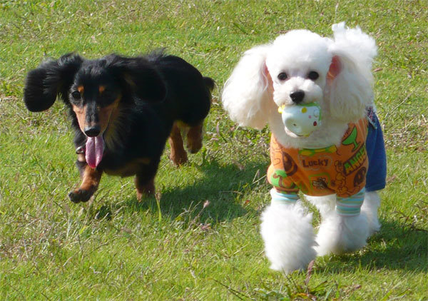 111009teddy08.jpg