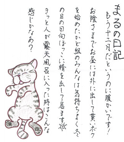 11120803.jpg