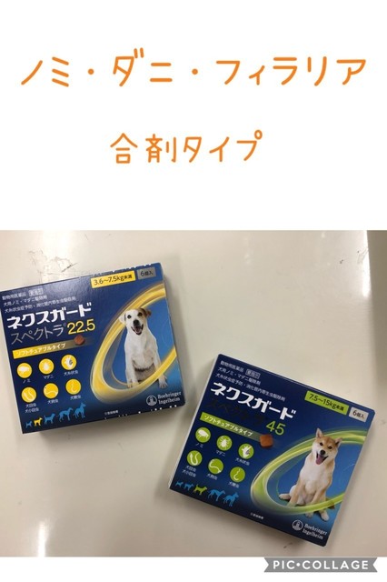 11800221237618.jpg