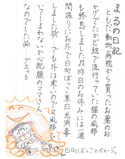 12012701.jpg