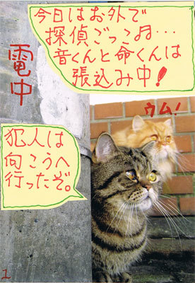 12012702.jpg