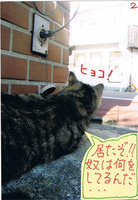 12012703.jpg