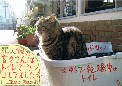 12012704.jpg