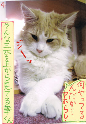 12012705.jpg