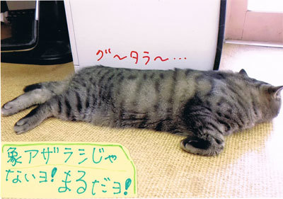 12070705.jpg