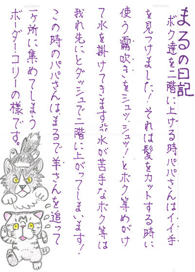12071501.jpg