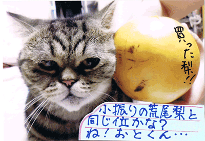 12100403.gif