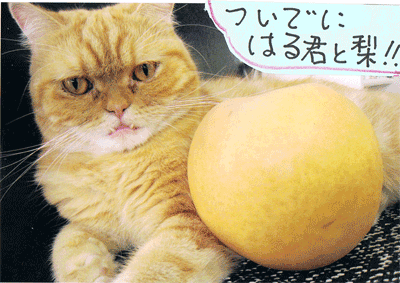 12100404.gif