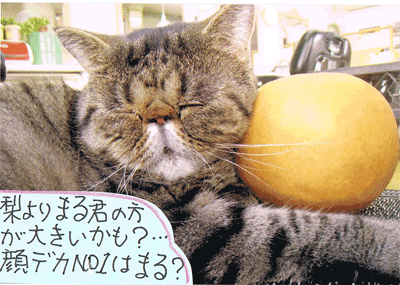 12100405.gif