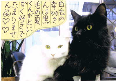 12102102.gif