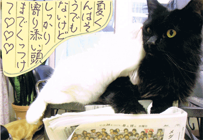 12102103.gif