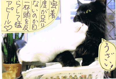12102104.gif