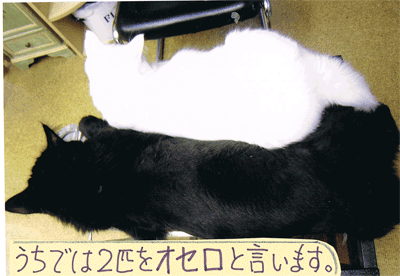 12102105.gif