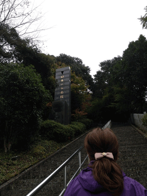 1352636552629.gif