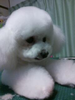 20130110_003546.jpg