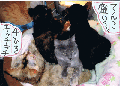 2013011304.gif