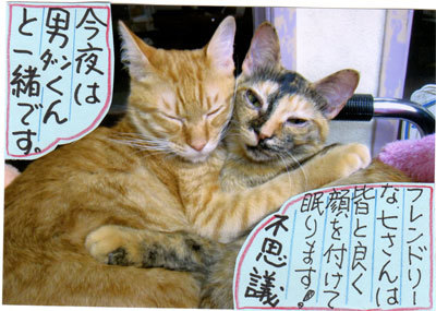 2013032404.jpg