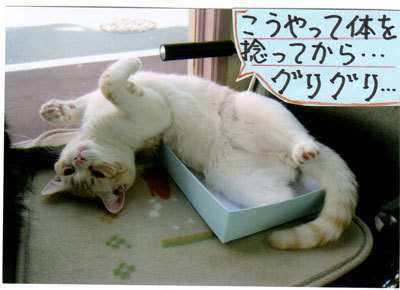 2013033105.jpg