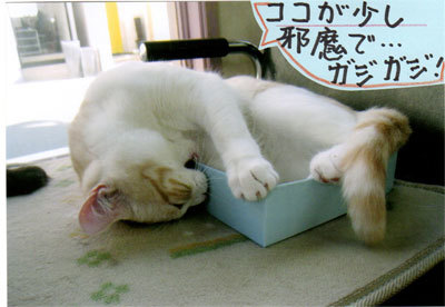2013033106.jpg