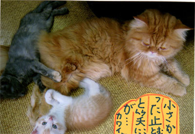 2013050502.jpg