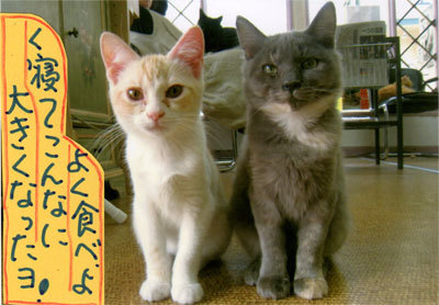 2013050503.jpg