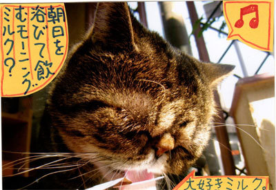 2013050504.jpg