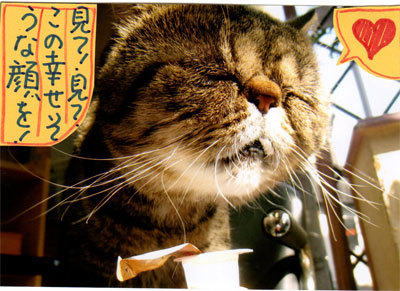 2013050505.jpg