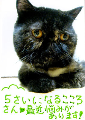 2013051202.jpg