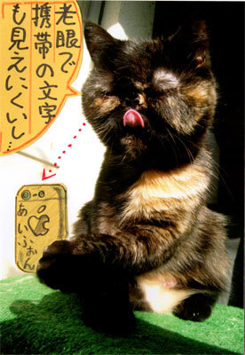2013051203.jpg