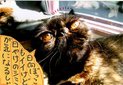 2013051204.jpg