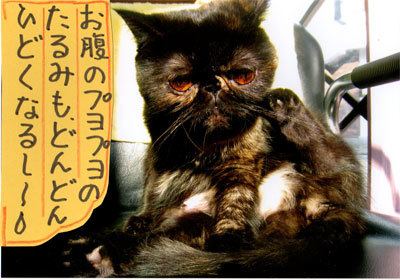 2013051205.jpg
