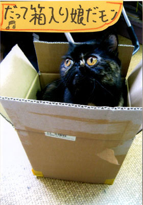 2013051206.jpg