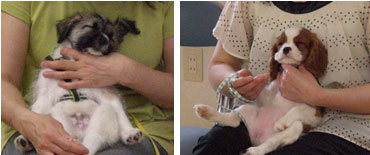 2013062304.jpg