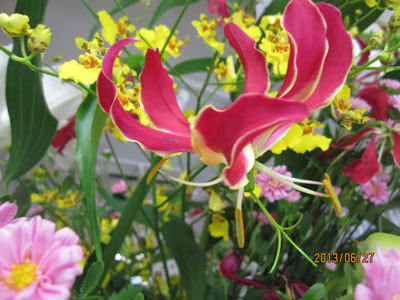 2013063005.jpg