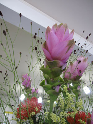 2013083103.jpg