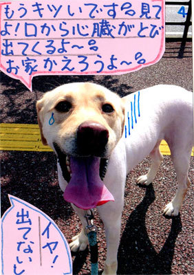2013092205.jpg