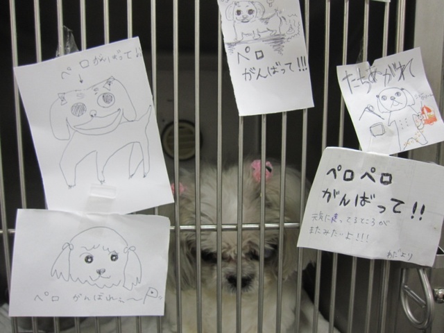 2013102802.jpg