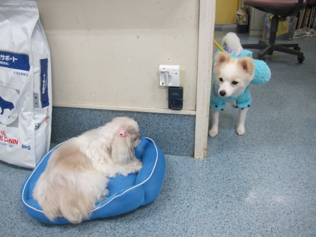 2013102803.jpg