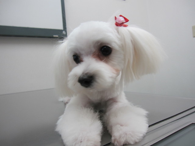 2013111301.JPG