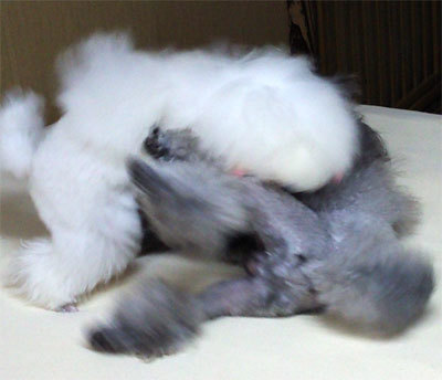 2015101304.jpg