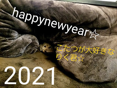 20201229_230151.jpg
