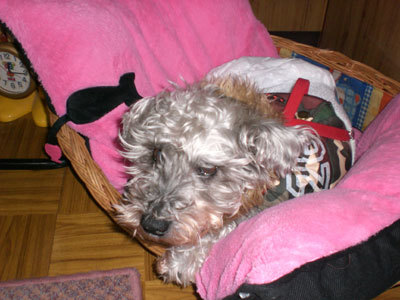 CIMG2003.jpg