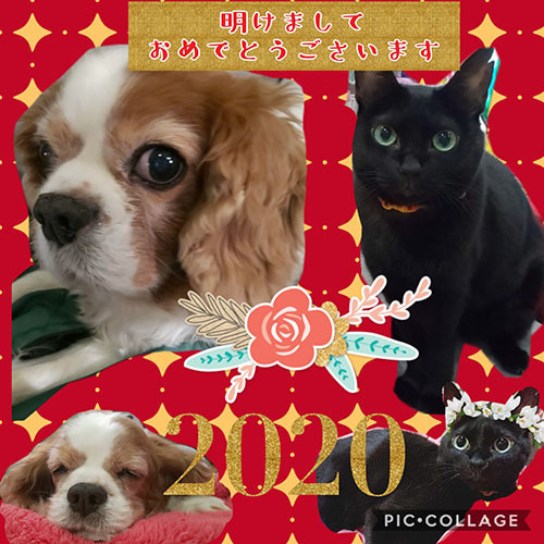 Collage 2019-12-29 08_26_39.jpg