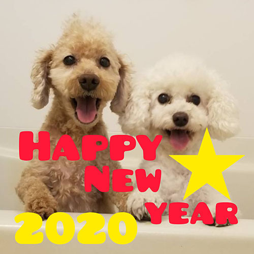 InShot_20191228_231608301.jpg
