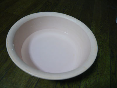 P1000971.jpg